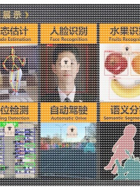 pytorch/opencv/yolo/python计算机视觉目标检测图像识别代做定制