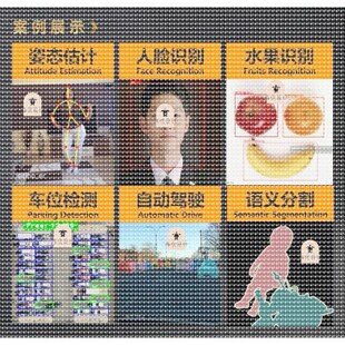 pytorch/opencv/yolo/python计算机视觉目标检测图像识别代做定制