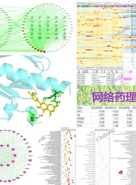 全外显子全基因组重测序数据分析ACMG SNP InDel LOH CNV生信分析