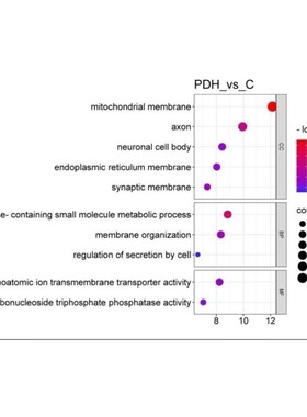 ChIPseq/CUTtag/RIPseq分析,会议进行结果讲解