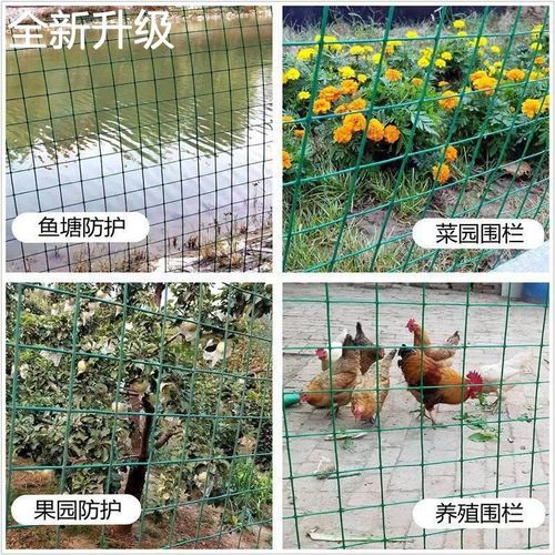 新款小孔阳铁丝网围栏鸡鸭养殖台防护网菜园防猫鼠蛇钢丝护栏网格