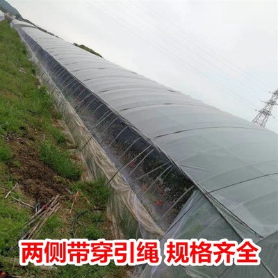 农用草莓俩侧通风口防鸟网葡萄果园天网西瓜大棚口拦鸟果树防护网