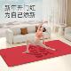 马到成功新年瑜伽垫马年限定款 防滑减震静音加厚女士健身运动地垫