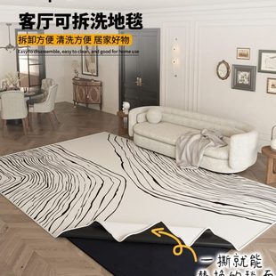 地毯客厅可拆洗地垫2024可机洗法式 可拆卸加厚双层风地毯奶油新款
