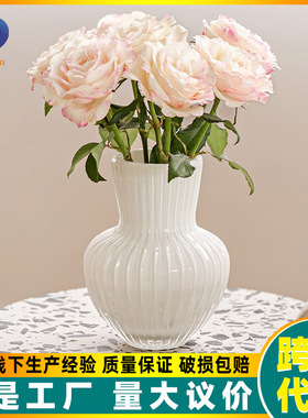 isn风花瓶玻璃花盆白色高级感轻奢水培养插花客厅桌面装饰摆件