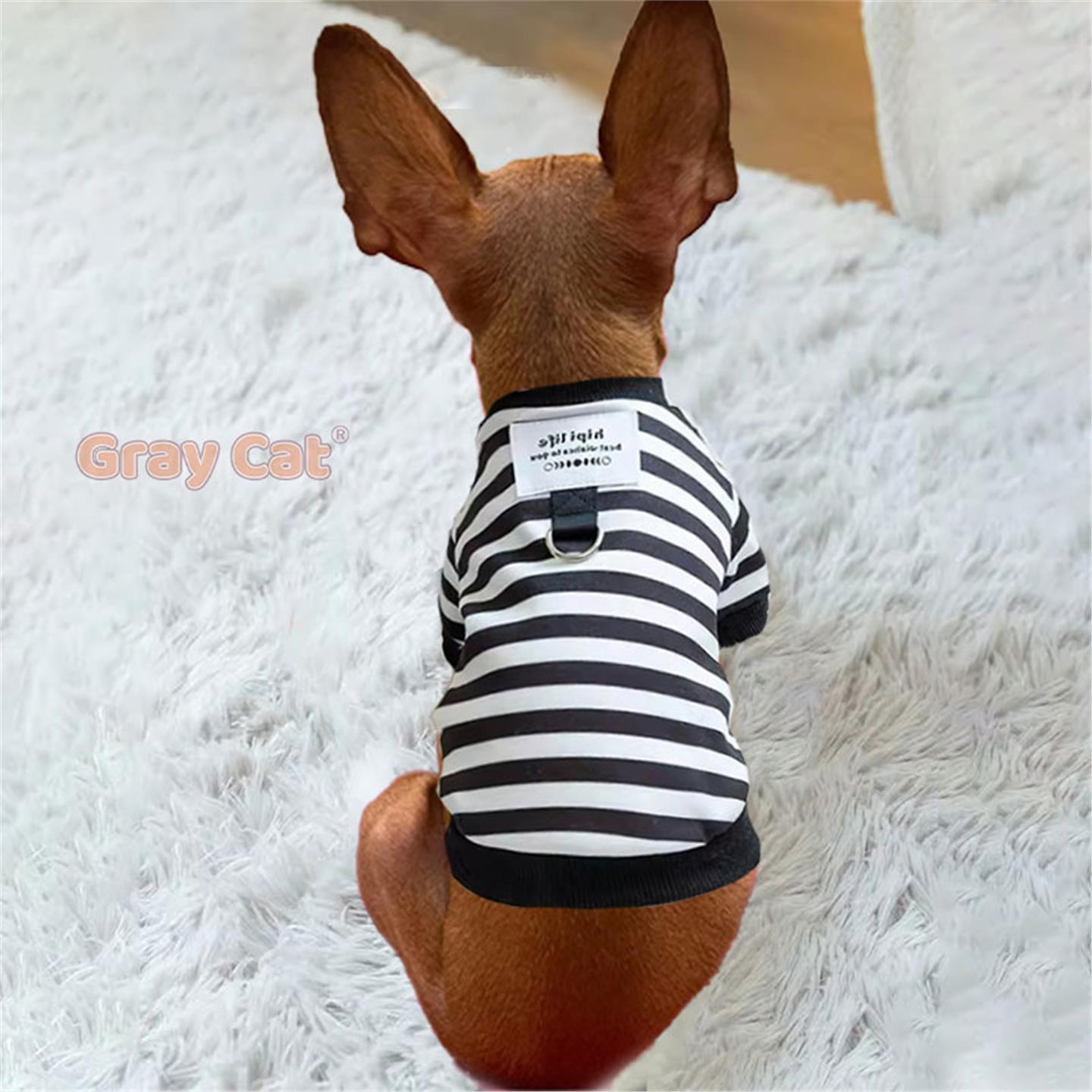 迷你杜宾小鹿犬专用狗狗衣服带牵引绳环秋冬天冬季小体鹿娃犬秋装