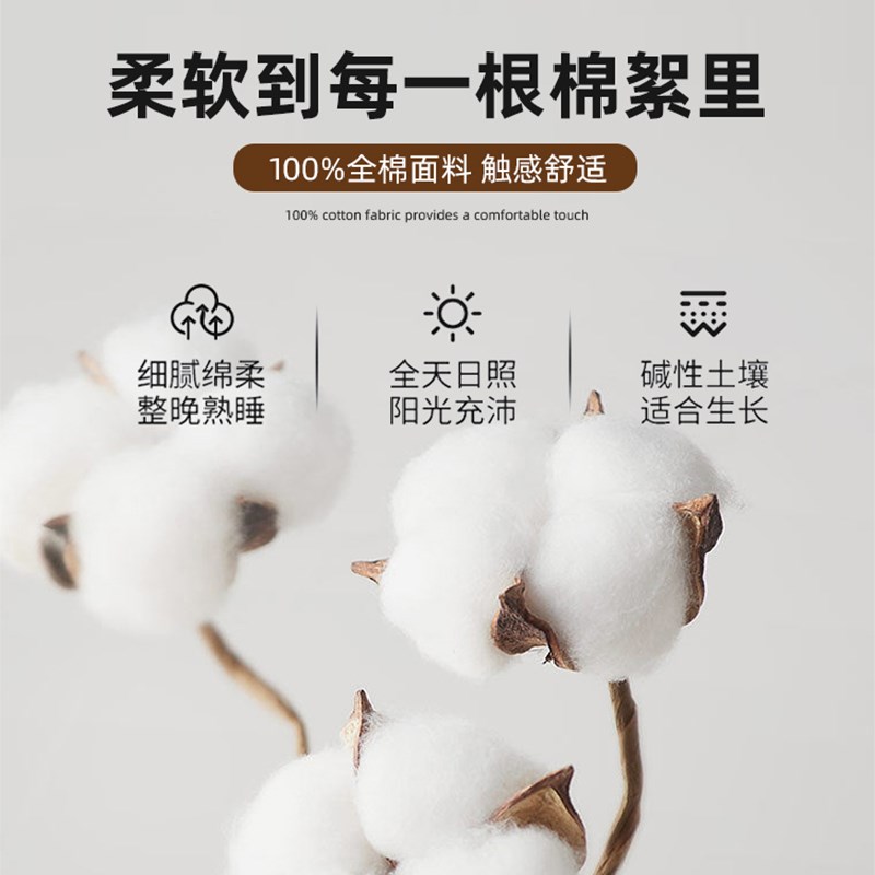 加厚磨毛纯棉床单单件100全棉学生宿舍被单人枕套三件套床盖被单