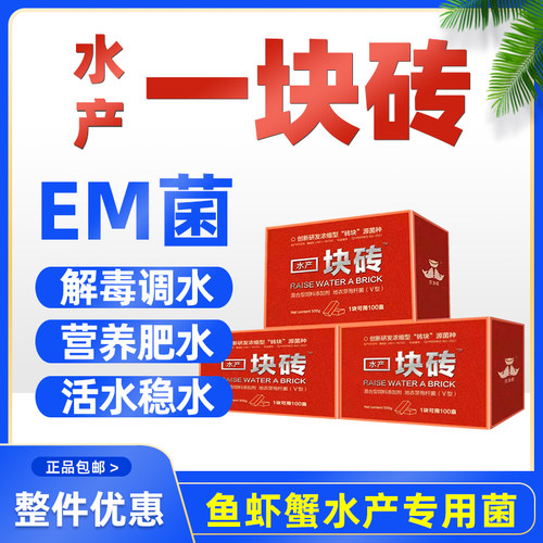 一块砖水产养殖专用复合乳酸菌枯草芽孢杆菌鱼虾蟹塘EM菌种肥水调