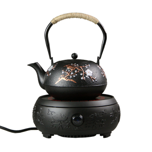 烧水茶壶养生礼品功夫家用茶具套装 铁壶铸铁泡茶电陶炉煮茶器日式