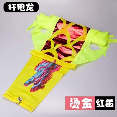 学生健身飘带龙甩龙杆儿童空竹校园舞舞龙彩带龙舞甩