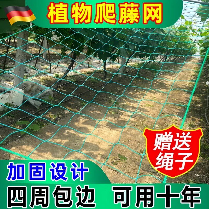 植物爬藤网攀爬网瓜果丝瓜苦瓜吊瓜葡萄豆角百香果藤蔓月季大棚网