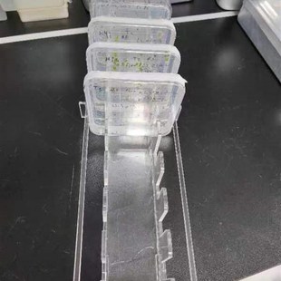 有机玻璃培养皿架10/5孔竖放1010cm/1313cm100*100mm