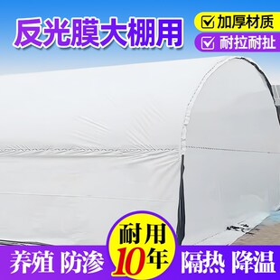 反光膜大棚用黑白膜养殖防晒加厚大棚专用塑料薄膜防晒隔热降温膜