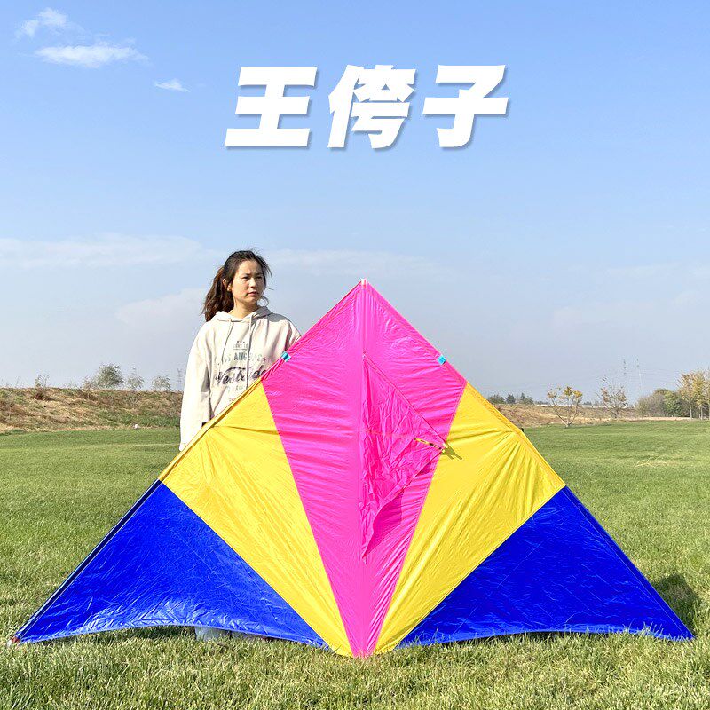 24年新款王侉子风筝微风易飞544软伞布碳杆大型高档成人专业三角