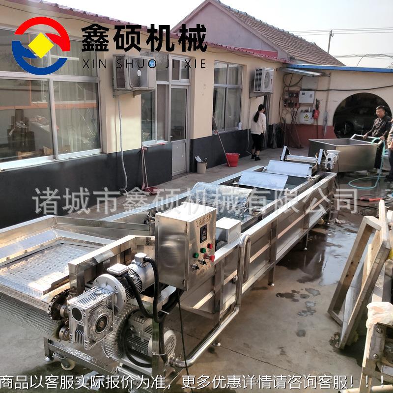 卜白菜气泡清洗机 大型食堂土全自菜动净设备 萝豆清YPL洗流水线