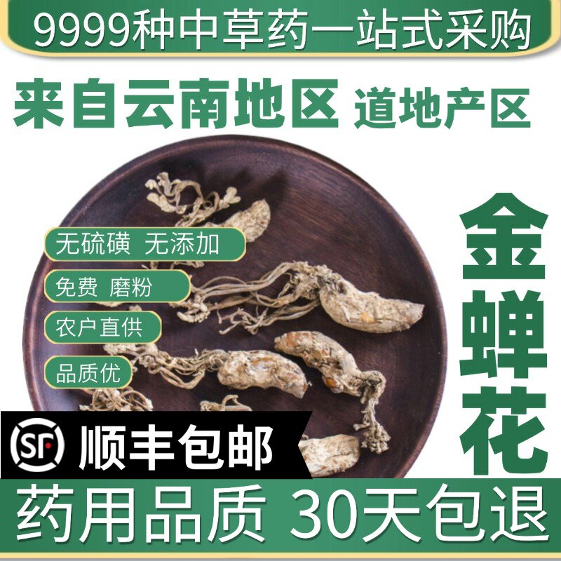 材大别山特级野生金蝉花 竹林蝉花 新货虫草知了花 50克