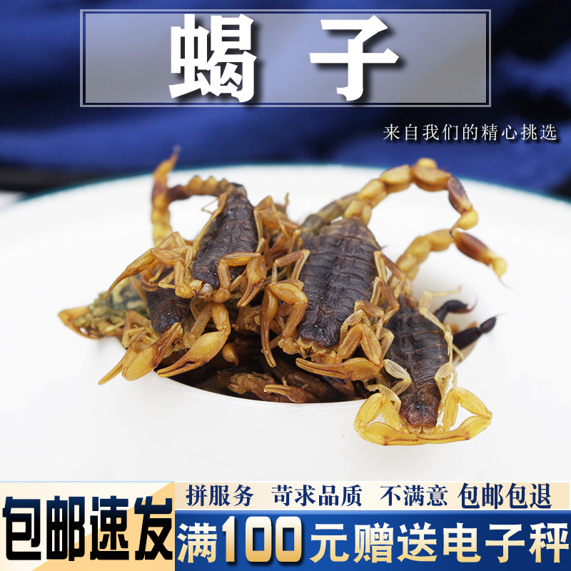 全蝎10克新货清水全蝎蝎子干中药材可泡酒另售水蛭蜈蚣可磨粉