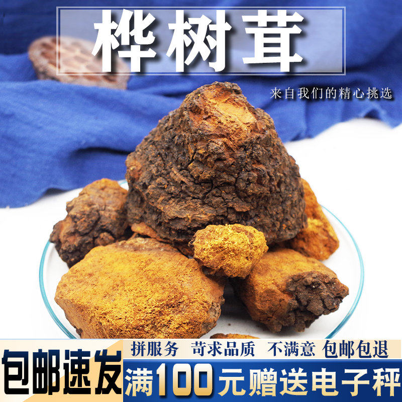 桦树茸500克 可泡水桦褐孔菌白桦茸桦树茸非野生桦褐孔菌桦树茸泪