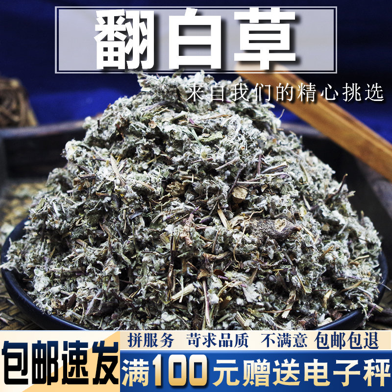 翻白草500克 材当季新货干货干净非非野生可搭配绞股蓝