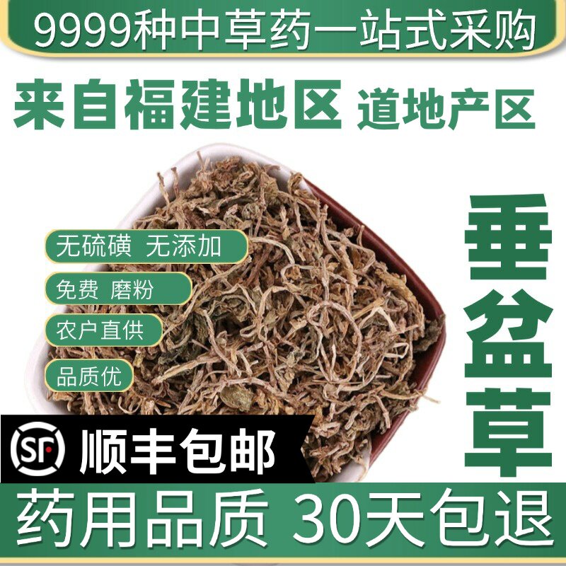材特级野生垂盆草50克干货泡茶药用食用干货垂盆草锤盆草