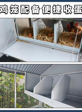 室外镀锌鸡笼家用雨农村养殖场OGX养鸡笼鸭鹅大号家禽笼防制鸡定