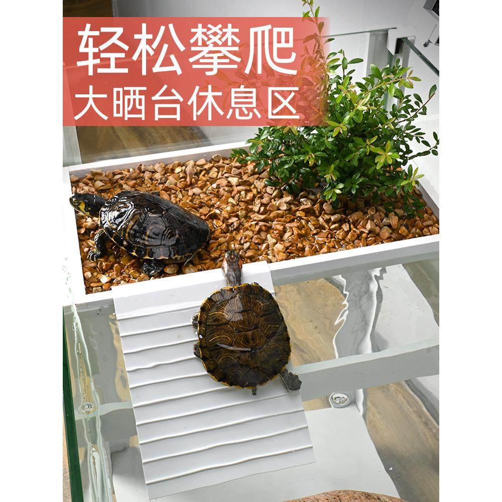 乌龟生态造景缸大台龟水陆带排水盖子防缸逃晒养大专257-07 用玻,宠物/宠物食品及用品,龟缸,淘宝优惠券,粉丝福利购,淘宝优惠卷