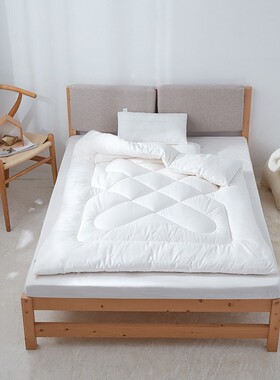 幼儿园被芯内胆110x150丝绵被春秋被3斤冬被*120棉花被儿童1白色2