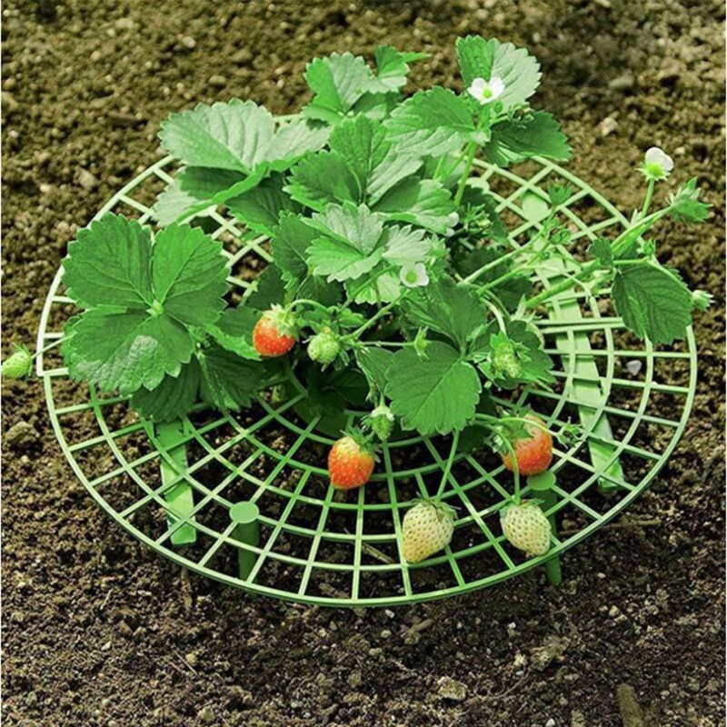 家庭种植草莓托盘架绿植防倒伏植物果实支撑园艺用品草莓支撑架子