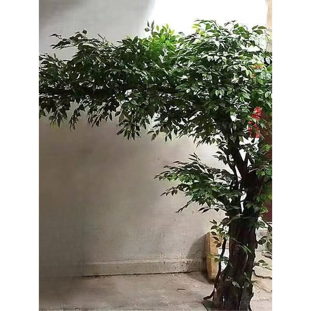 仿真假榕树室内外装饰摆件大型植物酒店景观商场落地许愿树造景
