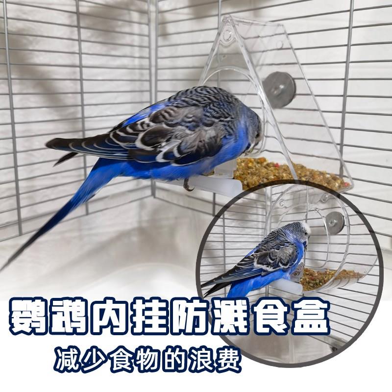 小型鹦鹉用品虎皮牡丹玄凤内挂自动喂水喂食器下料器食盒防撒防溅