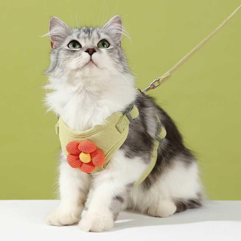 猫咪牵引绳防挣脱专用猫绳小型犬胸背带绳子溜猫绳宠物牵狗绳遛狗