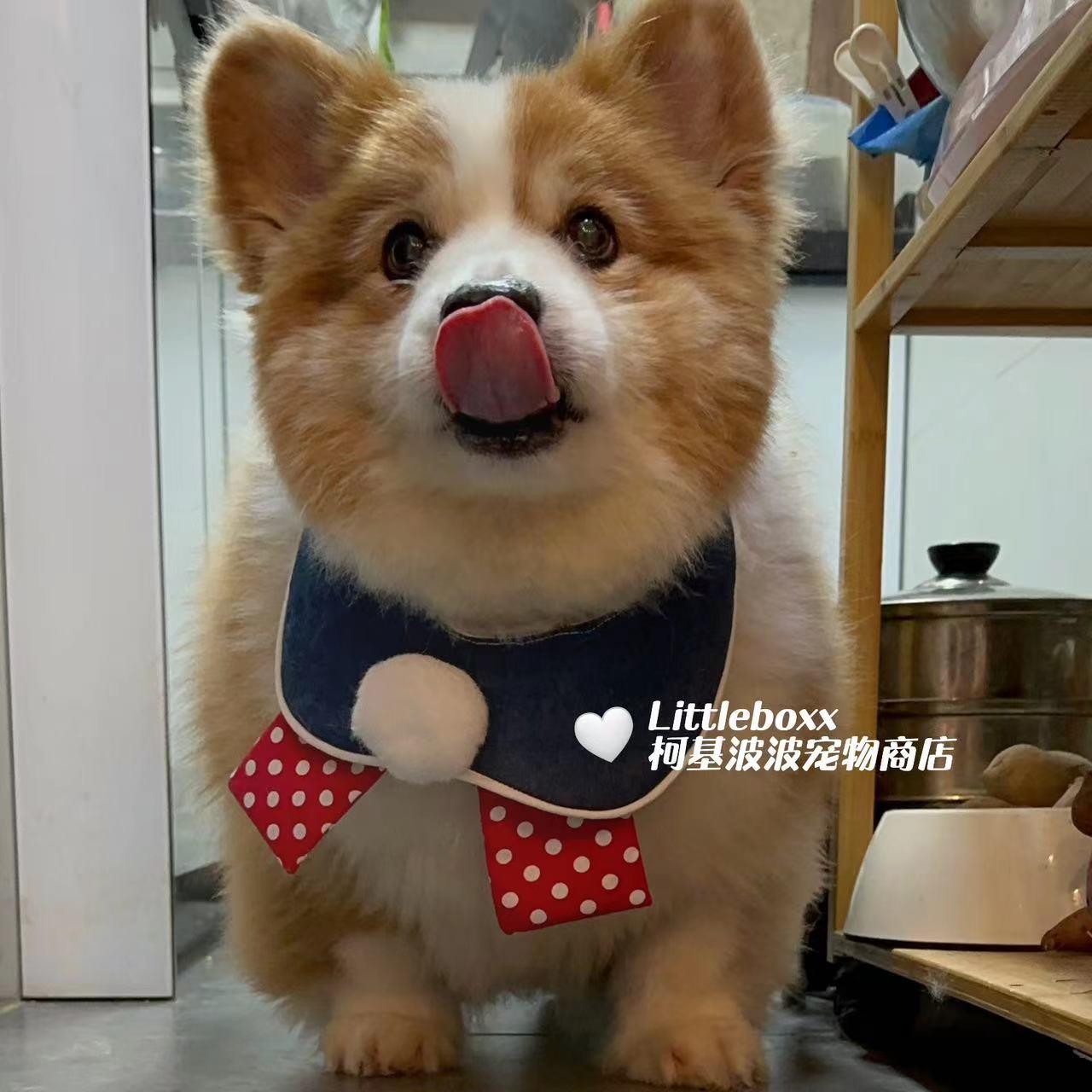 柯基波波同款 红白波点复古大球球口水巾猫狗宠物围巾定制围嘴