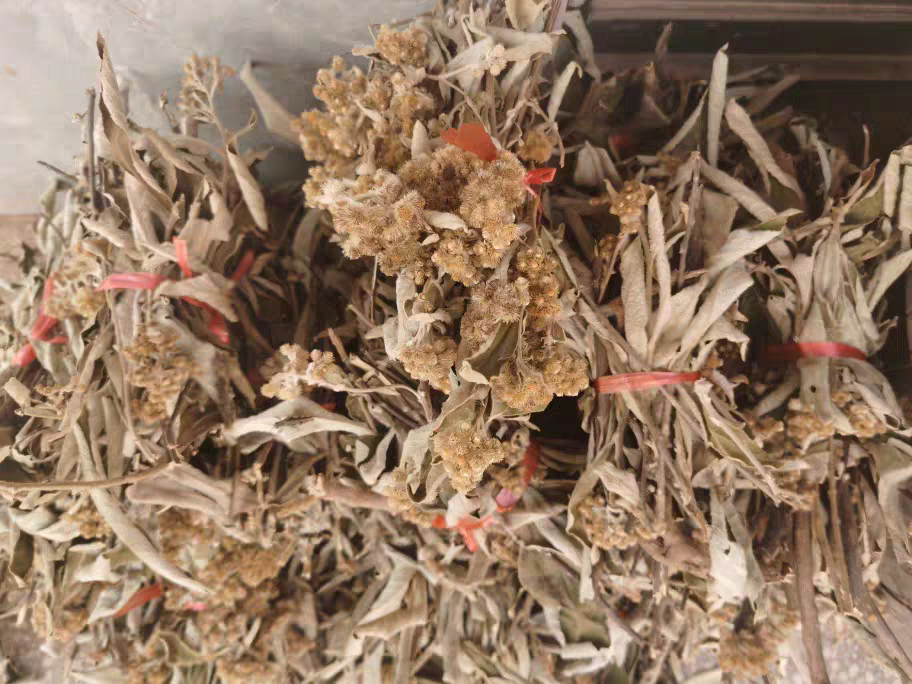 云南野生白毛将军马甘蔗丁桂辛苦草羊耳菊根兔子耳朵手工加工干货