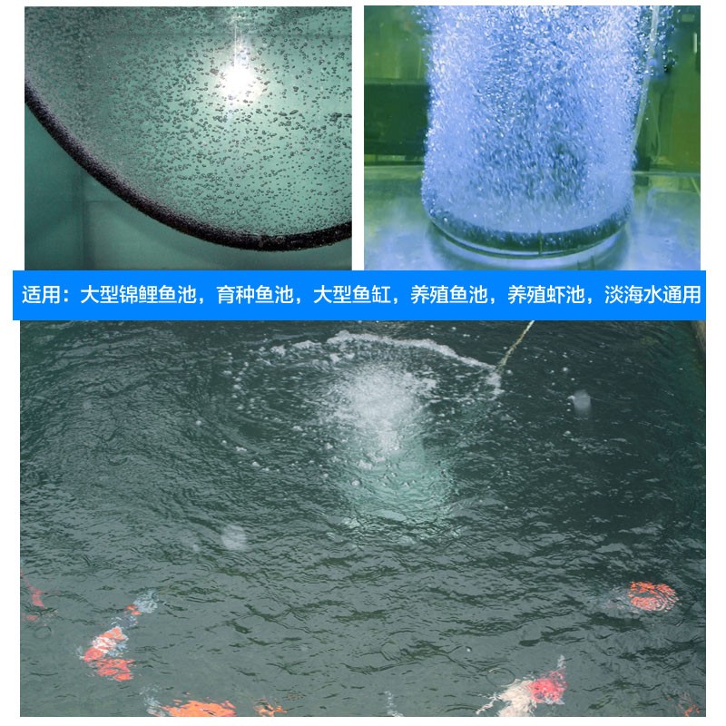 锦鲤鱼池增氧圈爆氧气盘不锈钢曝气圈鱼缸水底增氧盘大气量气泡盘