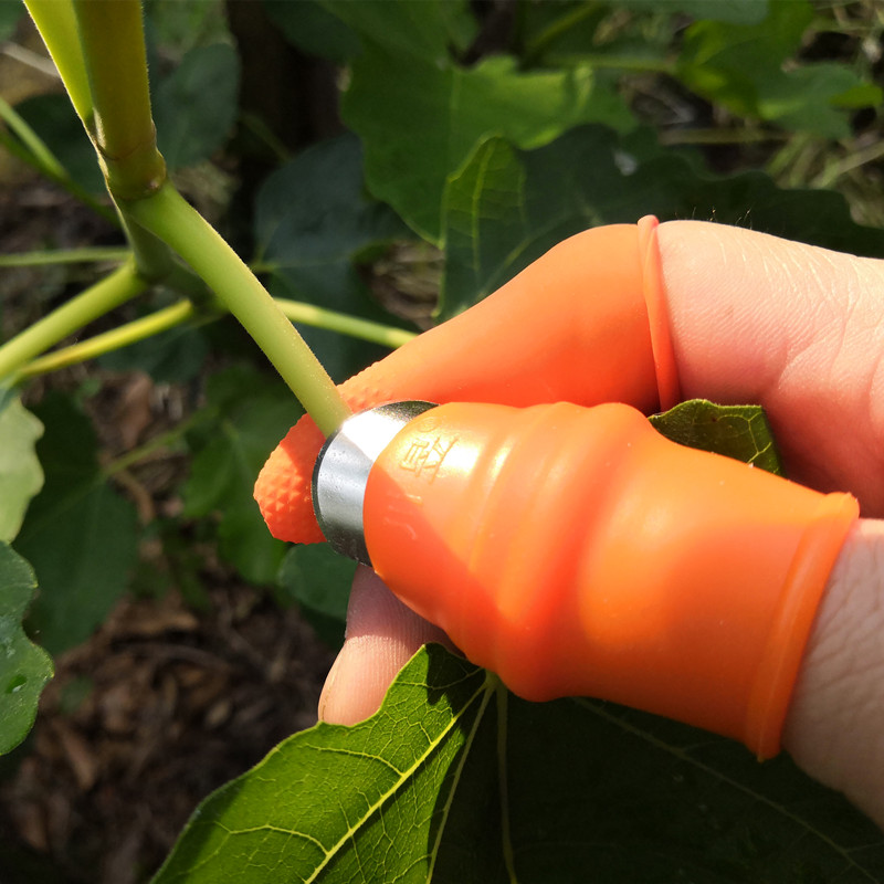花椒采摘器掐尖神器拇指刀摘菜专用豆角摘辣椒神器水果疏花疏果剪
