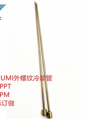 模具不锈钢冷却管WCPM2/3/4 WCPPT2/3/4螺纹运水针散热喷管