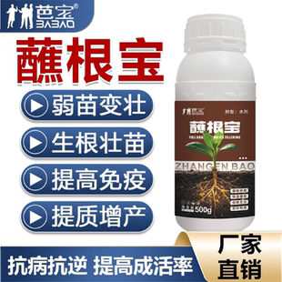 芭宝蘸根宝瓜果蔬菜花卉苗木通用型蘸根生根壮苗提高移栽成活率蘸