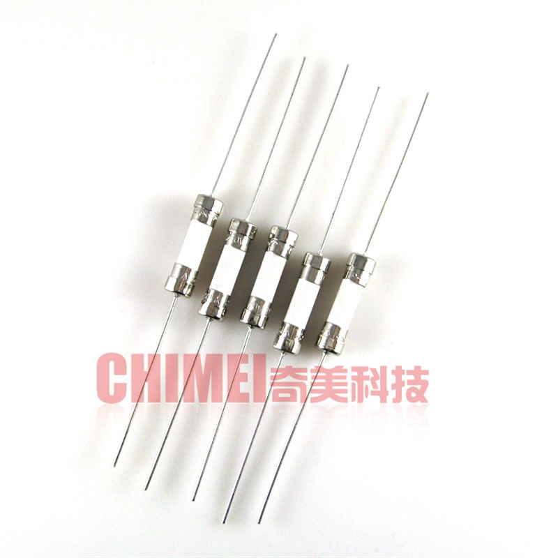 【全新】陶瓷保险管带引脚 6.3A 250V 5X20MM 保险丝带引线 配件