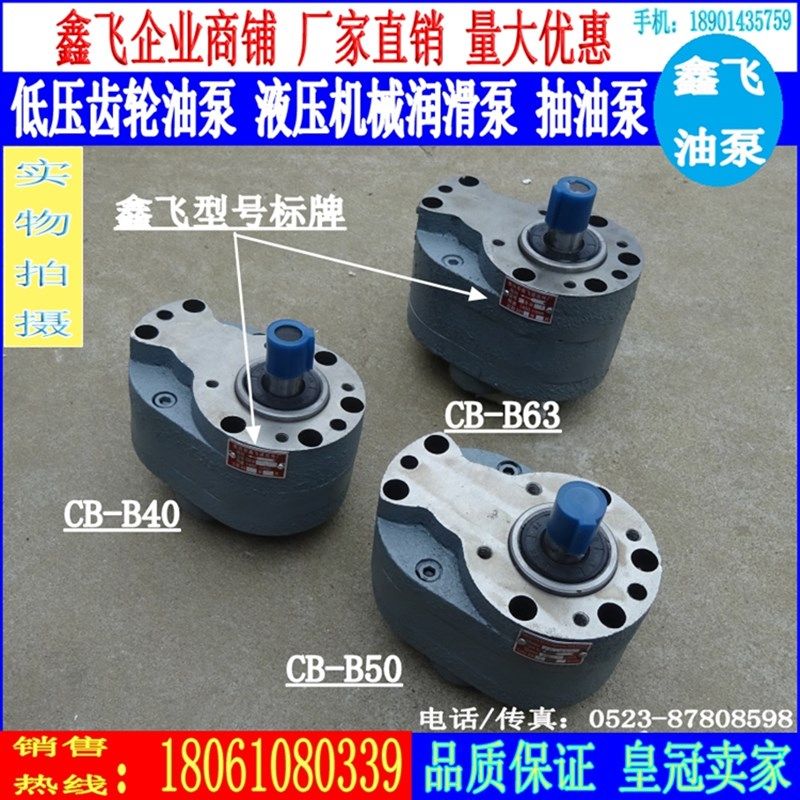 CB-B40/B50/B63/B80/B100/B125液压泵XCB XTCB TXCB齿轮油泵F