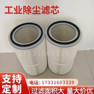 工业除尘滤芯喷粉喷涂车间除尘滤筒脉冲吸尘机扫车空气滤清器滤筒