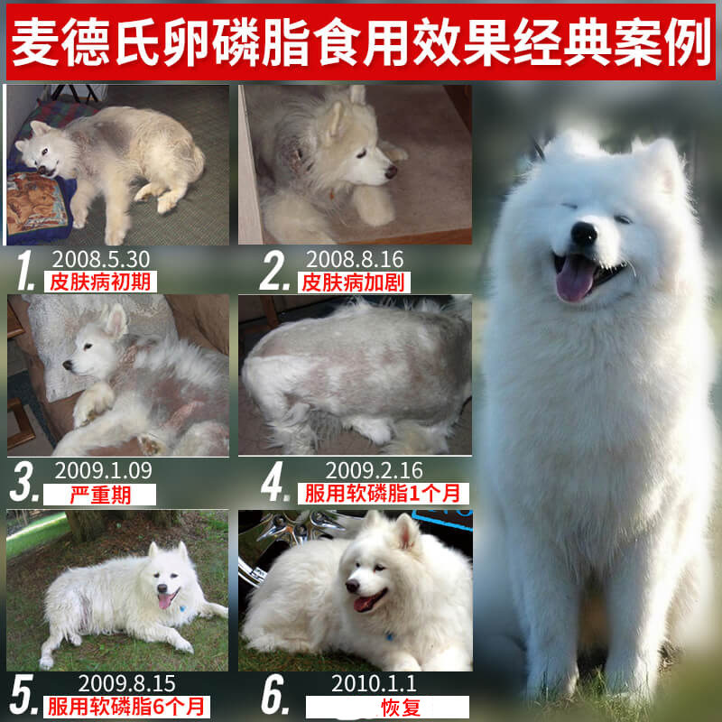 麦德氏卵磷脂680g柯基拉布拉多美毛粉毛发营养品卵凝脂狗狗麦德士
