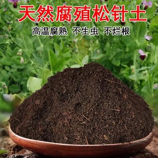 天然松针腐殖土腐熟腐叶土兰花多肉营养土君子兰月季养花专用花土