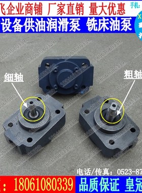 BB-B4KN BB-B6KN BB-B8KN真空设备润滑油泵B10KN转子泵 铣床油泵