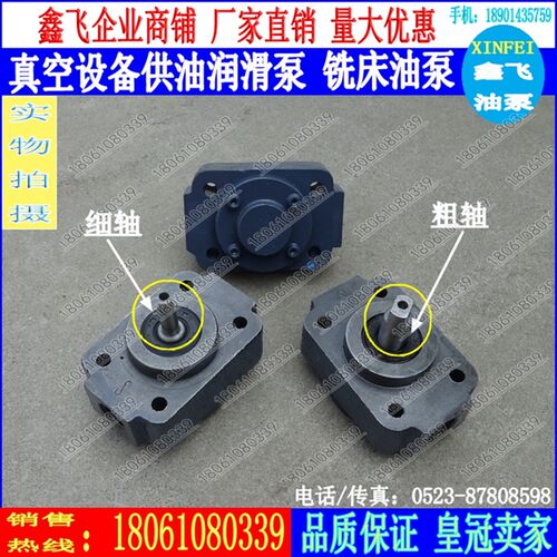 BB-B4KN BB-B6KN BB-B8KN真空设备润滑油泵B10KN转子泵 铣床油泵