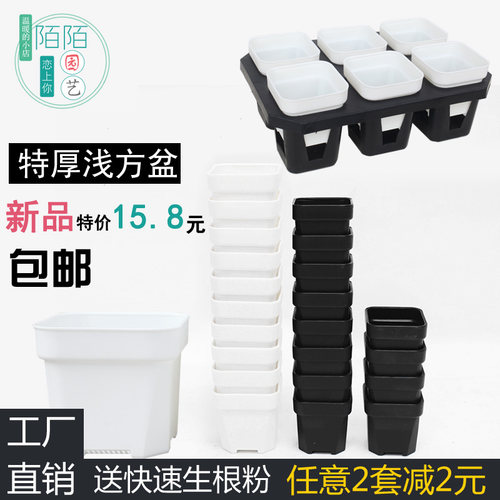 特厚浅方盆加厚树脂多肉盆花满楼小白黑方套餐包邮生石花叶插PP盆