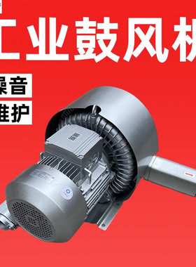 2BH1930-7AH37水处理配套侧流式鼓风机