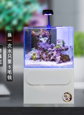 玲珑缸 超白玻璃微型桌面底滤缸 实木亚克力底柜斗鱼缸淡海水鱼缸