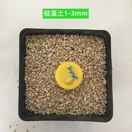 硅藻土颗粒多肉营养土颗粒铺面石植料土种植介质硬度好堪比二本线