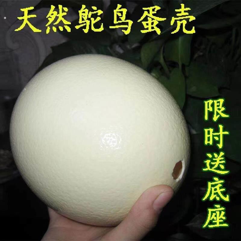 鸵鸟蛋壳送底座手工蛋雕民间艺术品雕刻工艺品