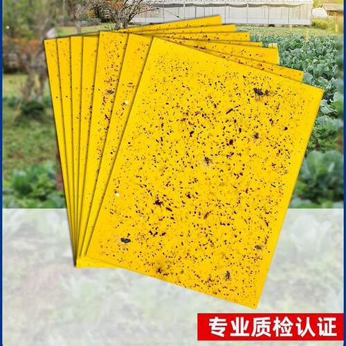 德国粘虫板黄板双面苍蝇贴强力黏纸家用室内农用小飞虫果蝇诱捕器